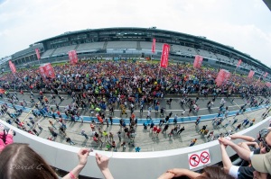 Bootcamp Köln -beim StrongmanRun 2013 - Start